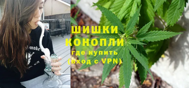 Канабис OG Kush  Белореченск 